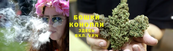 ALPHA PVP Себеж