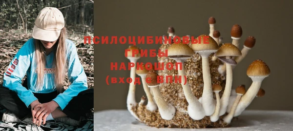 гашиш Надым